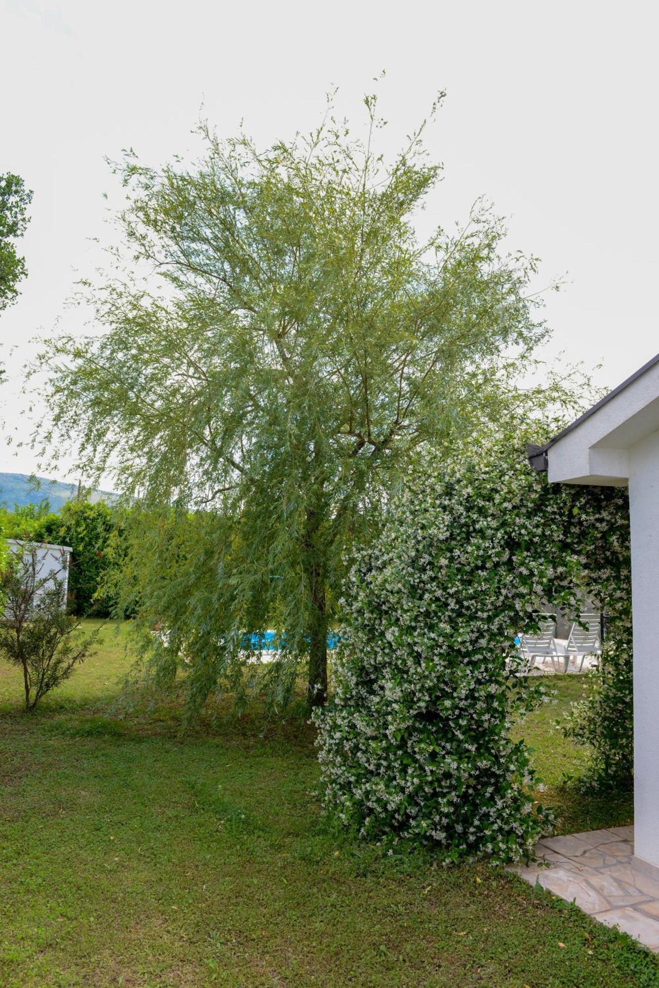 Vemini Tatil Evi *